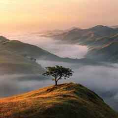 Sunrise over misty mountain valley with solitary tree
