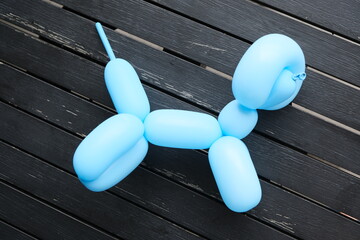 Adorable Blue Balloon Dog close up