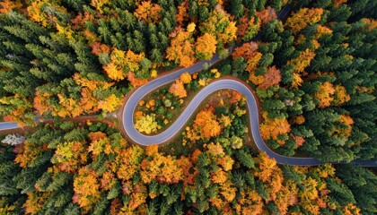 Aerial view of a winding road through vibrant autumn trees showcasing nature's colors