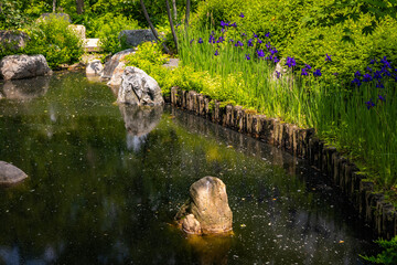 Tranquil View of Japanese Garden at Como Park Conservatory