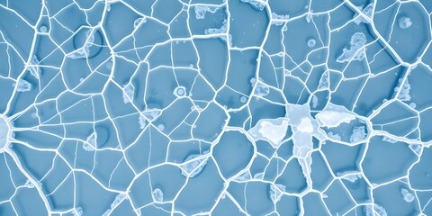 Crystalline Veins: The Frozen Pulse of a Winter Lake
