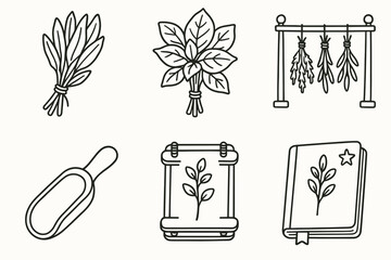 Botanical line art illustrations of herbs and plant symbols vector icon isolated illustration