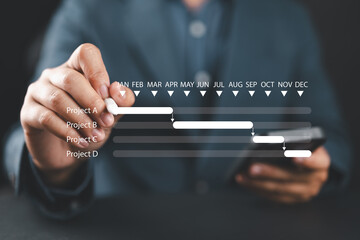 Milestone progress planning, Scheduling and proceeding with task reports, updating or tracking...