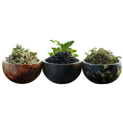 green tea leaves on transparent png background