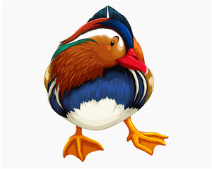 Vibrant Mandarin Duck Bird Vector Illustration