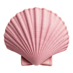 Close-up of a pink scallop shell with transparent background