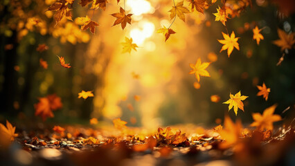 Autumnal scene with falling golden maple leaves illuminated by sunlight in a blurred forest background with leaves on the ground