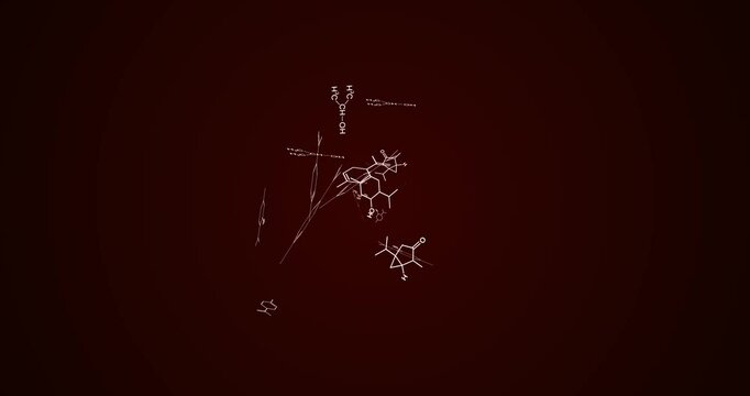 Flying structural formulas of different chemicals. Chemical fantasies. Abstract animation.