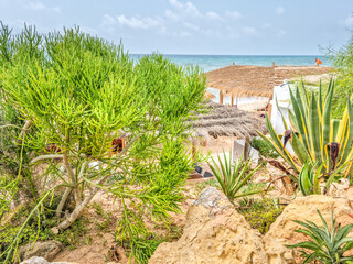 Landscape in a beach in Hammamet, Tunisia