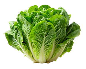 Fototapeta premium A fresh green leaf lettuce isolated on transparent background, ready to be used in a healthy salad