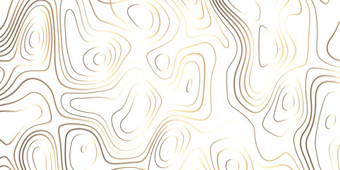 Fototapeta premium Topographic canyon geometric map relief texture with curved layers and shadow. abstract White background with a beautiful pattern, Topographic contour lines vector map seamless pattern vector.