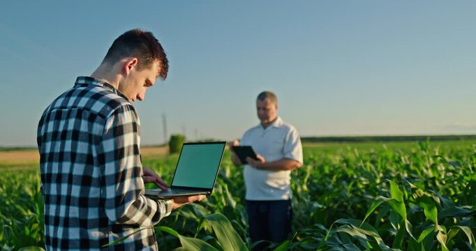 Two farmers working in a cornfield, one using a laptop in the foreground and the other holding a tablet in the background, both collecting crop data on a sunny day.