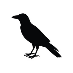 A black crow silhouette vector illustration