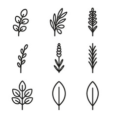 Black Greenery Icon Set. Outline icon set of Types of Greenery for Dried Arrangements: eucalyptus sprig, olive branch, fern frond,