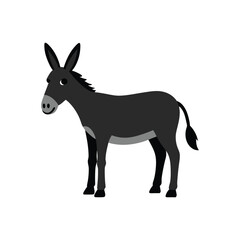 Realistic donkey colorful vector art illustration