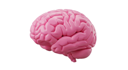Three Dimensional Pink Brain Illustration on a Transparent Background Mental Health Concept Isolated Transparent Background