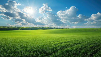 Vivid green field extends to the horizon beneath a brilliant blue sky dotted with fluffy white clouds, creating a serene and idyllic farmland vista under the summer sun.