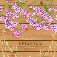 square banner with blooming origanum flowers. card with oregano wildflowers on wooden background. medicinal herbal Origanum vulgare.