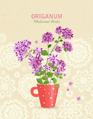 banner with a red cup of blooming origanum flowers. card with oregano wildflowers in a white and red polka mug. medicinal herbal Origanum vulgare on vintage background