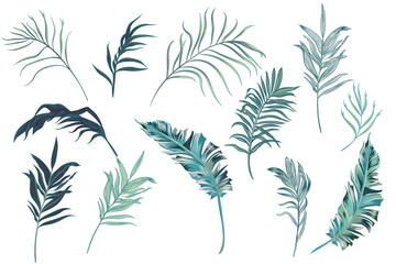 Collection of vector green tropical palms leaves isolated on white