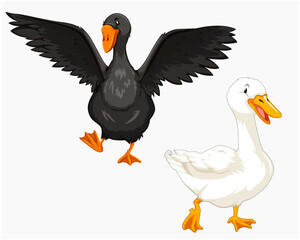Cartoon Black and White Ducks Vector Set