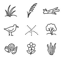 Coastal Flora and Fauna. Outline icon set of coastal flora and fauna: dune grass, sea oats, driftwood, sandpiper, crab track,