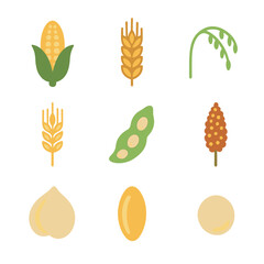 Crop Diversity Icons. Flat icon set of crop diversity: maize ear, wheat sheaf, rice panicle, barley head, soybean pod, sorghum
