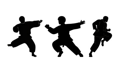 kungfu vector silhouette set