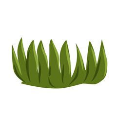 Green grass isolated,grass illustration,minimalist grass vector,hand drawn leaves, flat meadow illustration