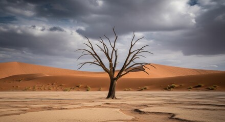 A lone dead tree stands in a vast desert landscape under a dramatic cloudy sky