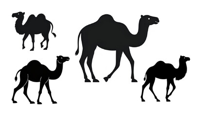 camels vector silhouette set