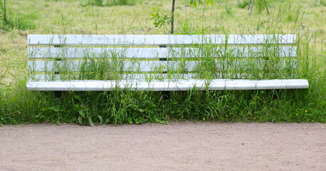 Green grass grows through the cracks between the boards of a white wooden park bench