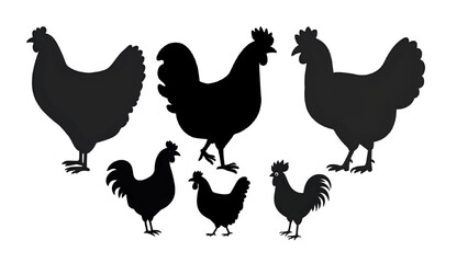 chicken vector silhouette set