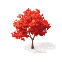 Maple Tree, cartoon vector illustration, flat 2D isometric style, white background.