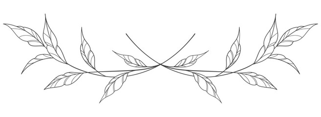 black and white outline sketch of a leaf> vector eps