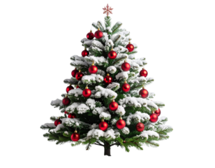 Miniature snowy Christmas tree fully decorated with red ball ornaments, isolated on transparent background