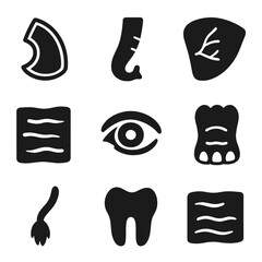 Elephant Anatomy Icons. Solid, filled icon set of elephant anatomy details: tusk cross-section, trunk detail, ear veins, skin