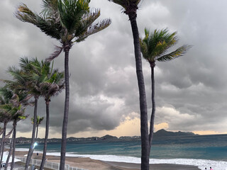 se acerca Tormenta en playa. palmeras dia nublado 