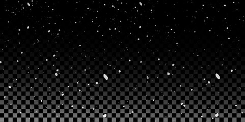 Snow flakes winter snowfall white light vector background. Christmas background, white snow on black background for edit photo.	