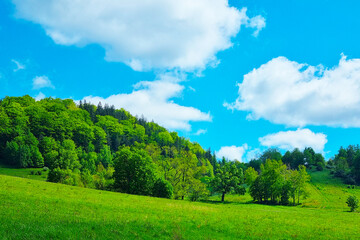 Obraz premium Lush Green Meadow Under Blue Sky with Fluffy Clouds - Perfect for Nature Posters and Prints