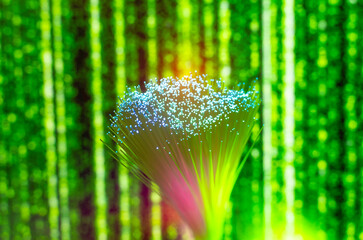 Fiber optics close-up, modern computer communication technology