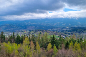 Tranquil Mountain Spring Landscape with Scenic Forest Views for Nature Posters