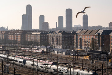 Railway yard with distant city skyline and seagull in urban atmosphere, Copenhagen, Denmark, evoking urban transformation and industrial nostalgia