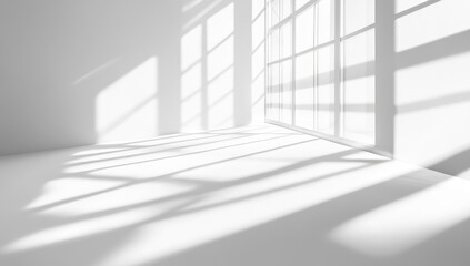 Sunlight casts stark shadows in a minimalist, white room
