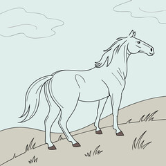 white horse vector