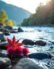 A vibrant red flower delicately rests atop smooth, gray rocks, partially submerged in clear, shimmering water, reflecting the sunlight beautifully.