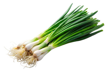 Green Onion Stalk with Long Leaves and White Bulb Isolated on Transparent Background