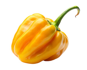 Spicy Yellow Habanero Chili Peppers Whole and Shiny Isolated on Transparent Background