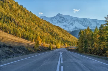 Chui highway in  Altai Mountains in Siberia, Altai Republic, Russia, drone point of view © larisa_stock