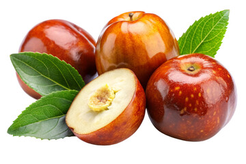 Mature Jojoba Fruit with Brown Outer Shell Isolated on Transparent Background